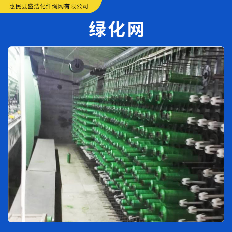 綠化網(wǎng)生產(chǎn) 封山網(wǎng) 蓋土網(wǎng) 防塵網(wǎng) 聚乙烯綠化網(wǎng) 歡迎來電咨詢