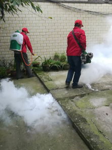 平價(jià)廣州工廠房防老鼠滅蚊子除四害