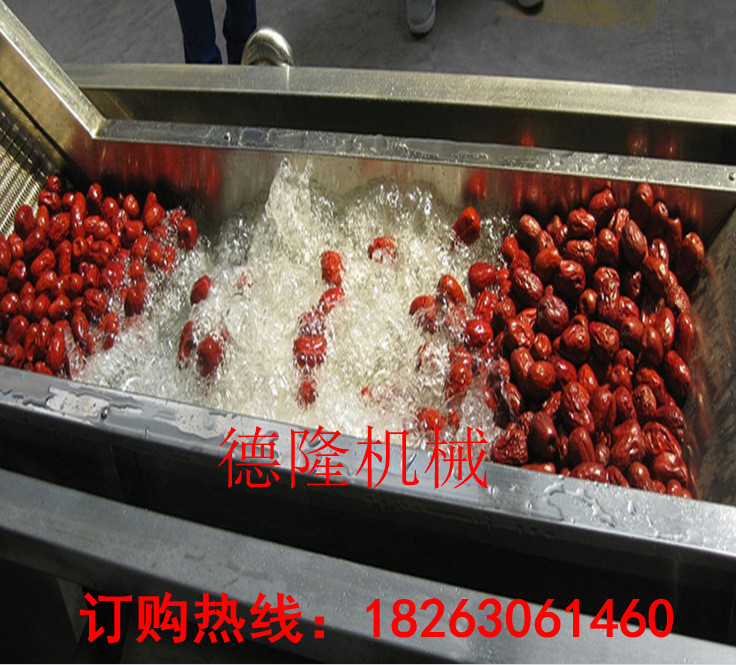 氣泡清洗機(jī)   紅果蔬清洗機(jī)