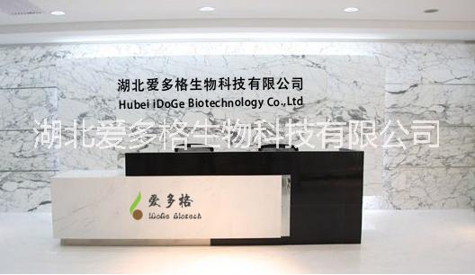 現(xiàn)貨銷售優(yōu)質(zhì)魔芋粉 食品級魔芋粉 魔芋粉價格生產(chǎn)廠家 增稠劑