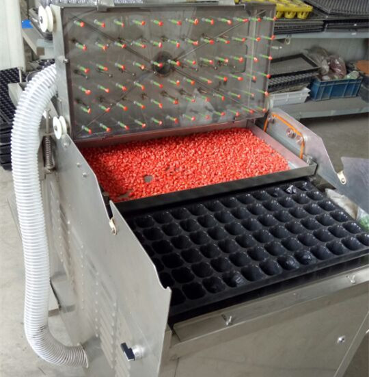 穴盤播種機 育苗播種機 常州風雷