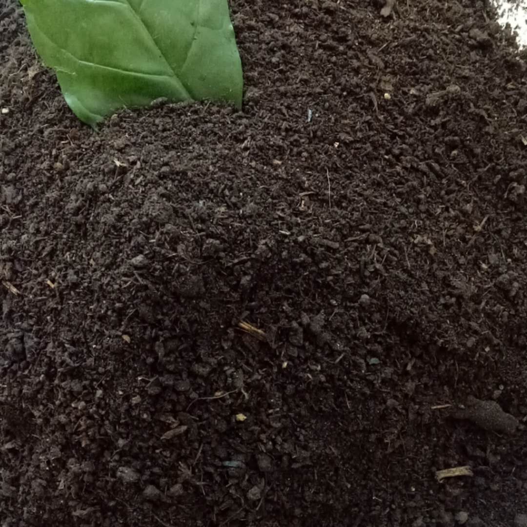 生物有機肥 發(fā)酵雞糞 發(fā)酵羊糞 發(fā)酵牛糞 發(fā)酵有機肥 完全發(fā)酵腐