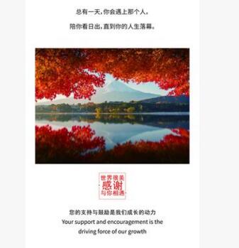 售后卡 售后卡定制 售后卡批發(fā) 售后卡價(jià)格