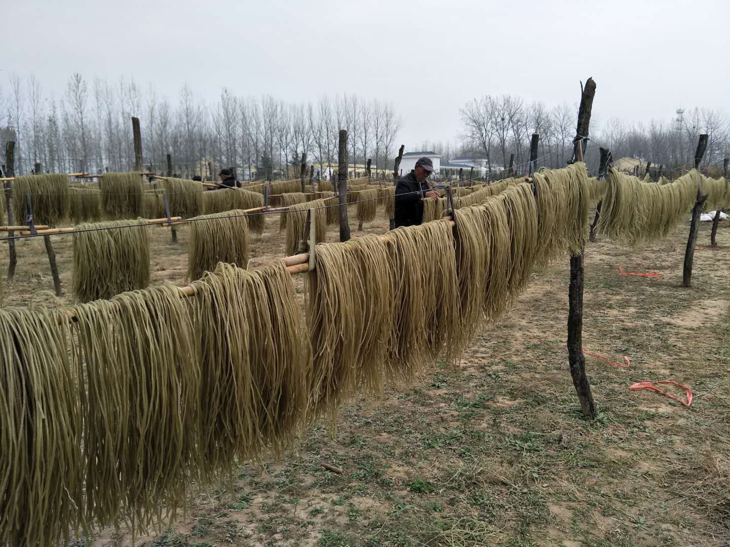 供應(yīng)牛肉湯粉絲生產(chǎn)批發(fā) 牛肉湯粉絲生產(chǎn)批發(fā) 牛肉湯粉絲生產(chǎn)廠家 牛肉湯粉絲供貨商