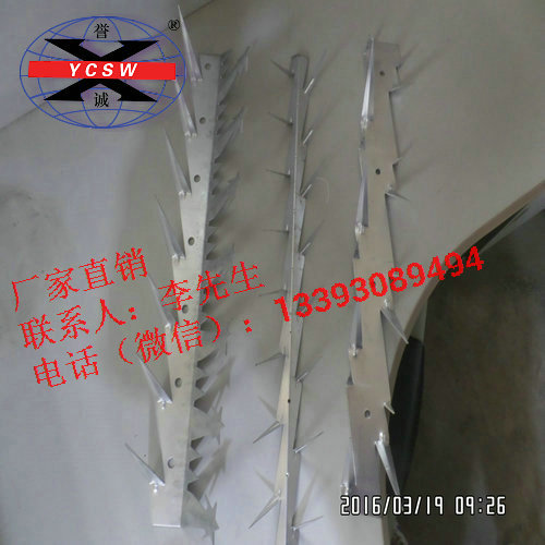 鍍鋅刺釘丨鍍鋅防爬刺釘