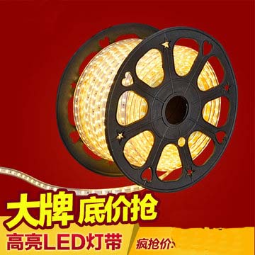 深圳裝飾燈帶供應(yīng)商 220V燈帶供應(yīng)商 高壓燈帶廠家直銷