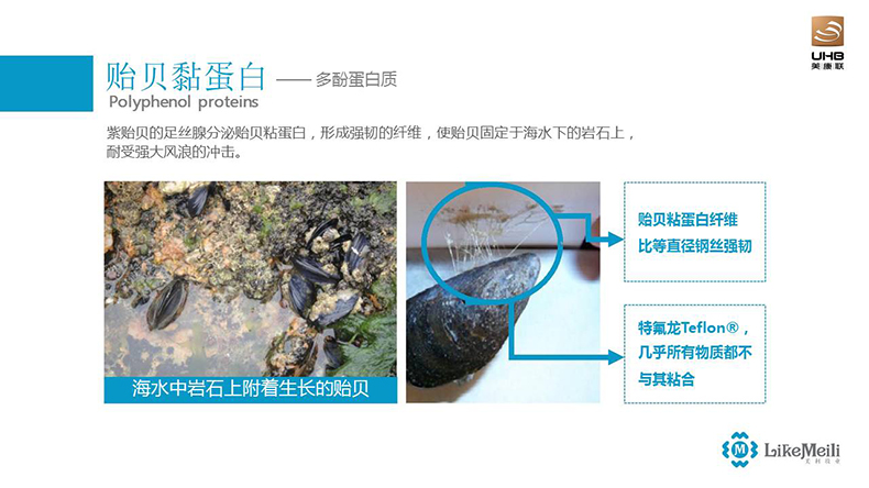 貽貝粘蛋白噴劑原液 修復原液敏感緊致 代加工OEM廠家