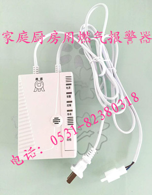 供應(yīng)民用天然氣報警器 DN-D2000家用天然氣報警器