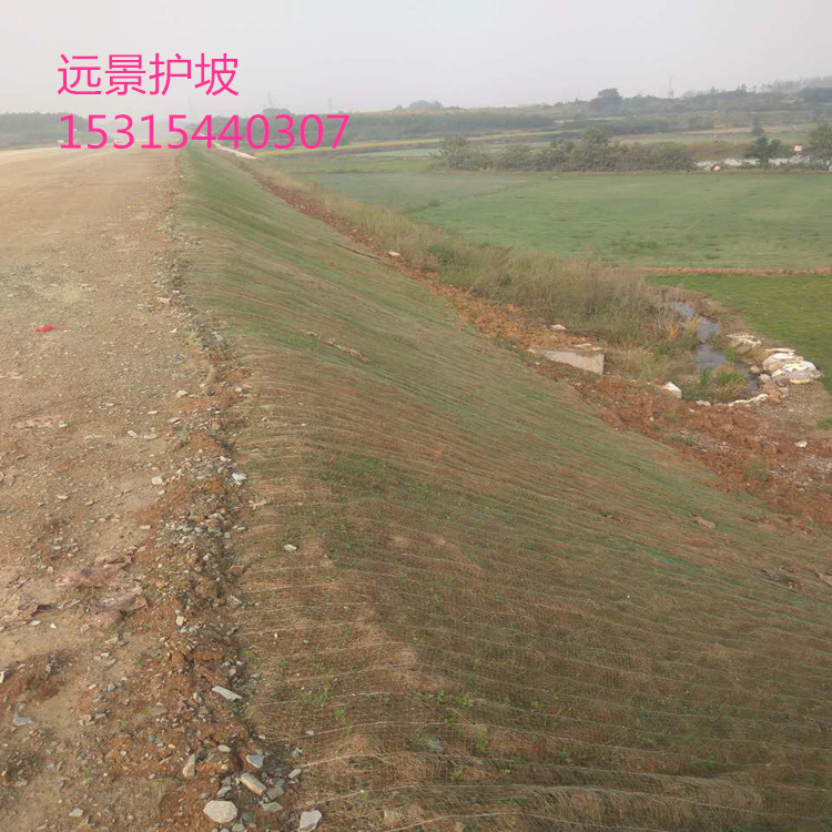 植物纖維毯環(huán)保草毯椰絲毯*蘇州河道高速護(hù)坡綠化材料*惠