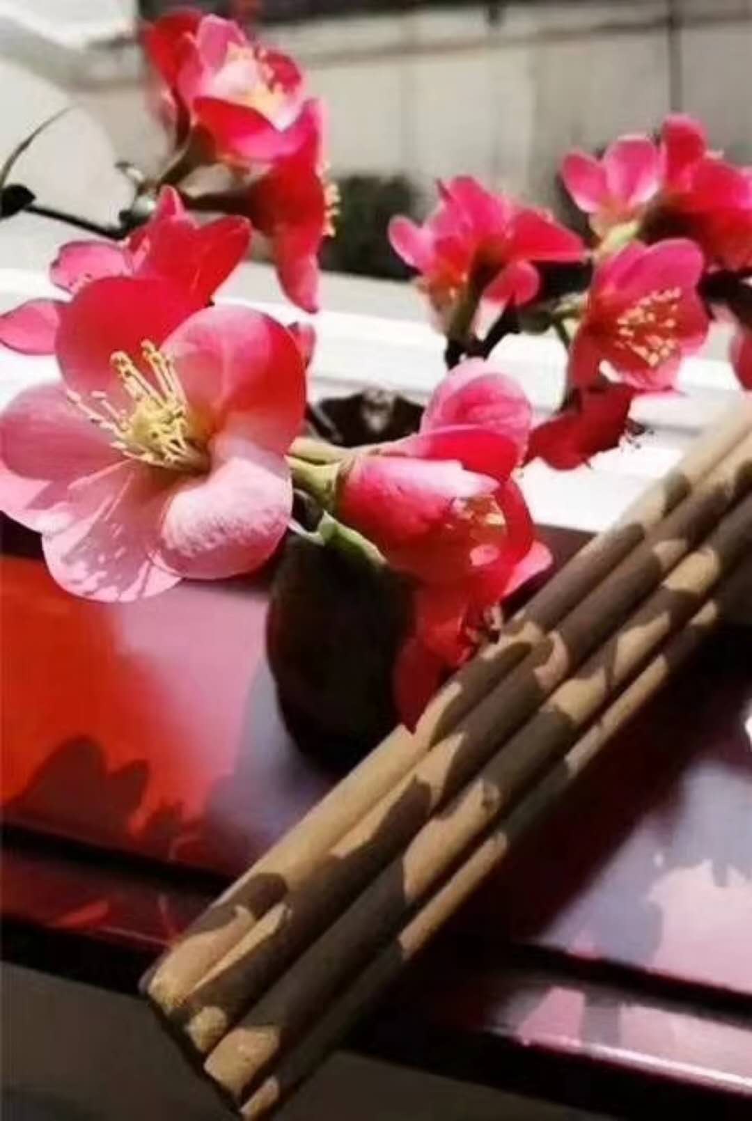 三伏灸夏季保健養(yǎng)生防暑祛濕全身通天灸三伏灸批發(fā)蓮香300