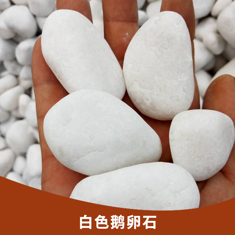 白色鵝卵石 園藝用白色小石頭園林鋪路造景用白石子 地坪用石米