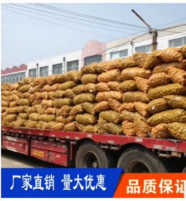 網(wǎng)袋 新塑料網(wǎng)袋