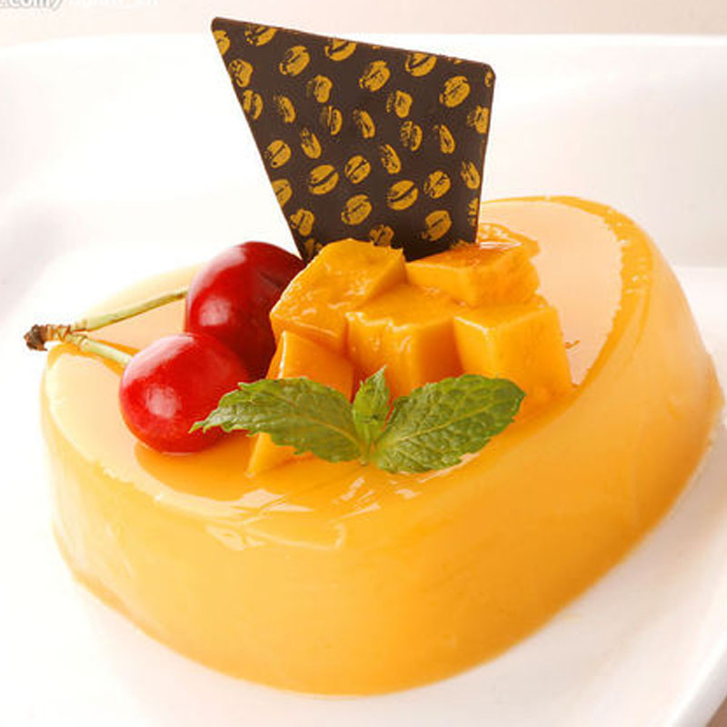 廣食園 天然吉士粉 烘焙原料 卡士達(dá)粉蛋撻蛋糕面包布丁1kg