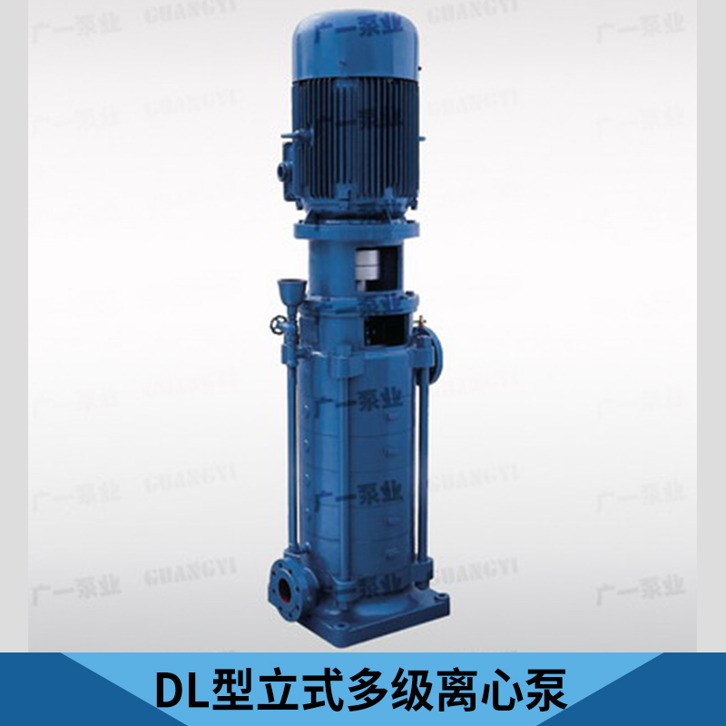 廠家直銷 DL型立式多級(jí)離心泵 DLR型立式多級(jí)離心泵