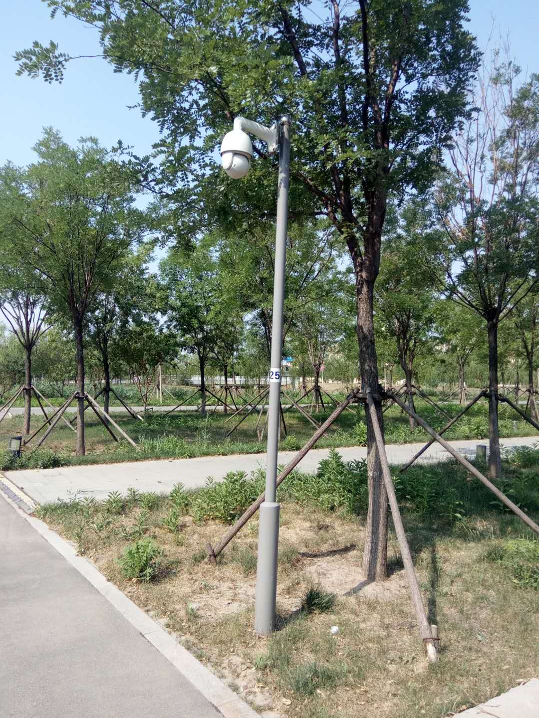 供應(yīng)天津周邊監(jiān)控桿