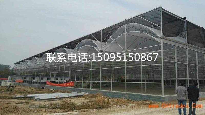 四川綿陽(yáng)建造 文洛式陽(yáng)光板溫室    陽(yáng)光板連棟溫室最*的廠家 文洛式陽(yáng)光板溫室價(jià)格