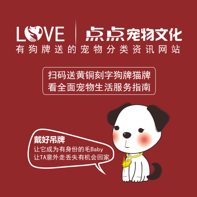 點(diǎn)點(diǎn)寵物文化-誰知道寵物貓狗犬支血統(tǒng)證要多少錢？