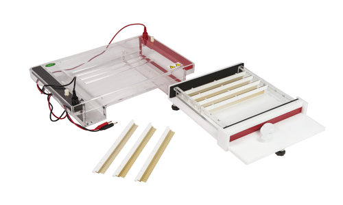 銷售電泳儀 電泳槽 垂直電泳槽