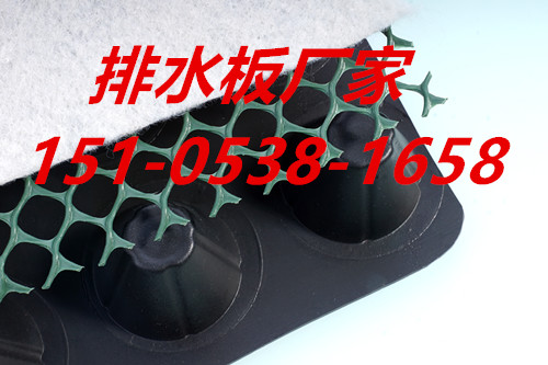 唐山塑料排水板 唐山塑料排水板優(yōu)質(zhì)商家