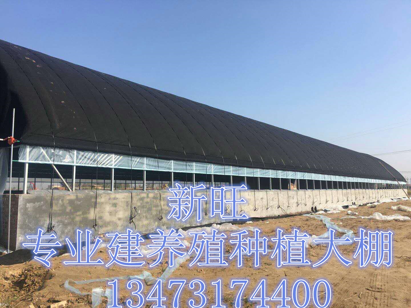 河北新旺興農(nóng)養(yǎng)殖大棚8409熱鍍鋅鋼架大棚 河北新旺興農(nóng)養(yǎng)殖大棚廠家