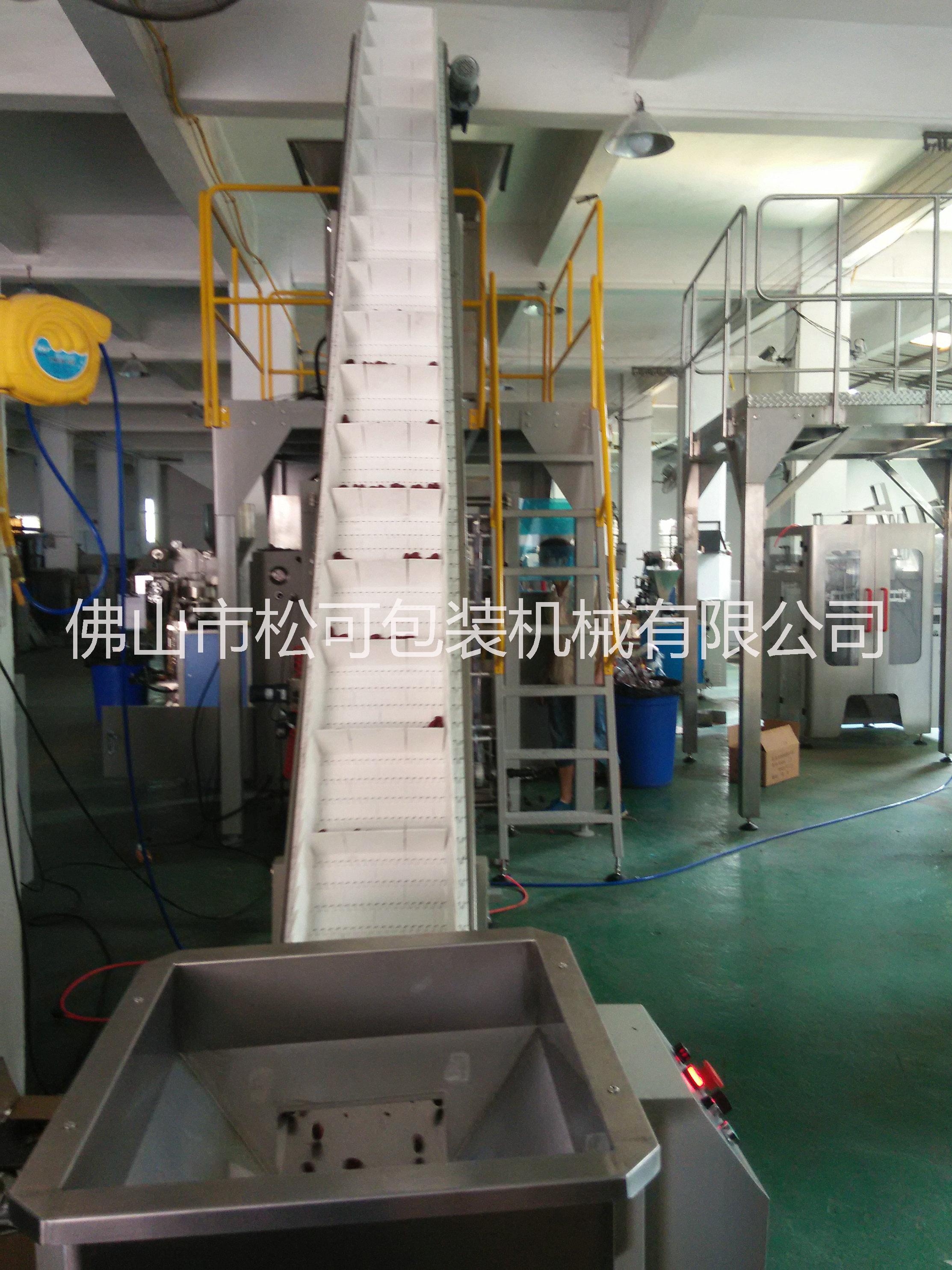 顆粒提升機(jī) Z型食品提升機(jī) 粉末轉(zhuǎn)斗式斗提機(jī) 休閑食品上料機(jī)