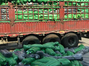 鄭州安全網(wǎng)，金水安全網(wǎng)供應(yīng)商，安全網(wǎng)商行，鄭州安全網(wǎng)批發(fā)價(jià)格，安全網(wǎng)哪家好？