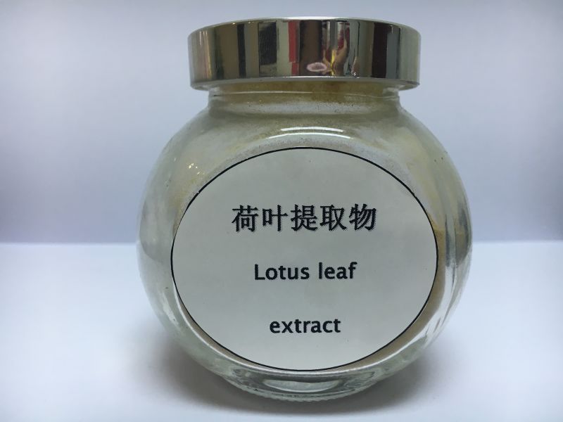 荷葉提取物荷葉堿價(jià)格 圓苞車前子殼粉/寧夏菊芋粉/馬蹄粉/南瓜多糖/沙棘果粉/西吉芹菜汁粉/蠶豆熟粉/熟藜麥粉