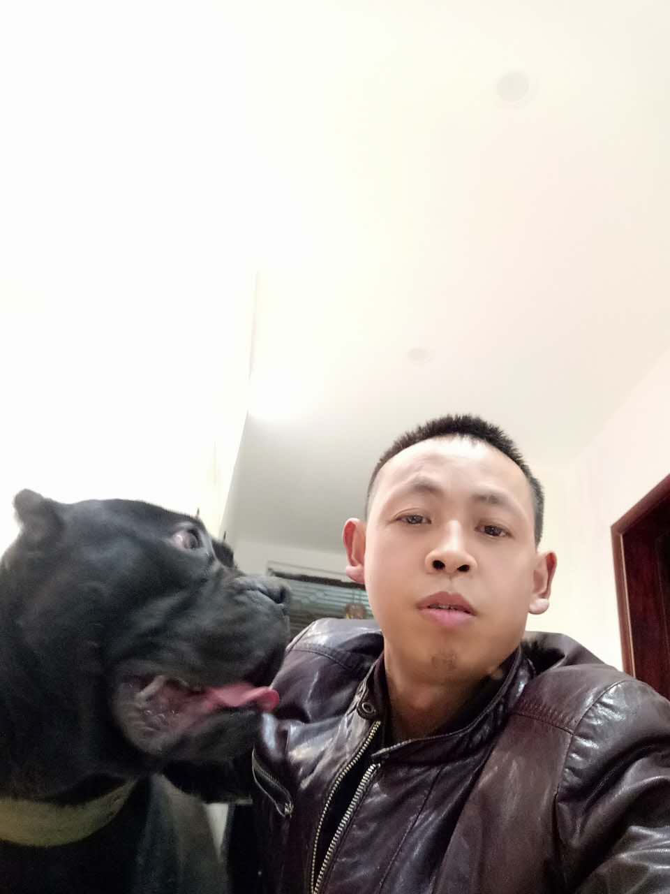 貴州哪里有比較好的卡斯羅批發(fā) 貴定卡斯羅哪家好 貴定哪家卡斯羅優(yōu)惠