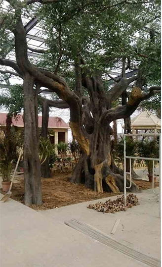 仿真假樹 仿真假樹報(bào)價(jià) 仿真假樹供應(yīng)商 仿真假樹生產(chǎn)廠家