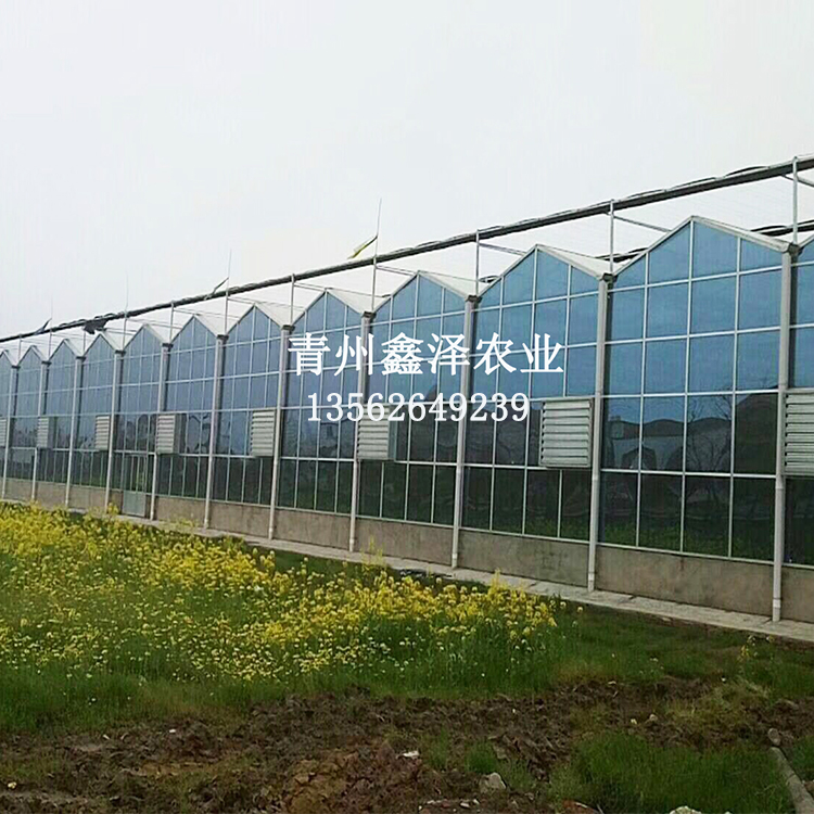 蔬菜玻璃溫室 保溫蔬菜玻璃溫室 專業(yè)建設蔬菜玻璃溫室廠廠家直銷