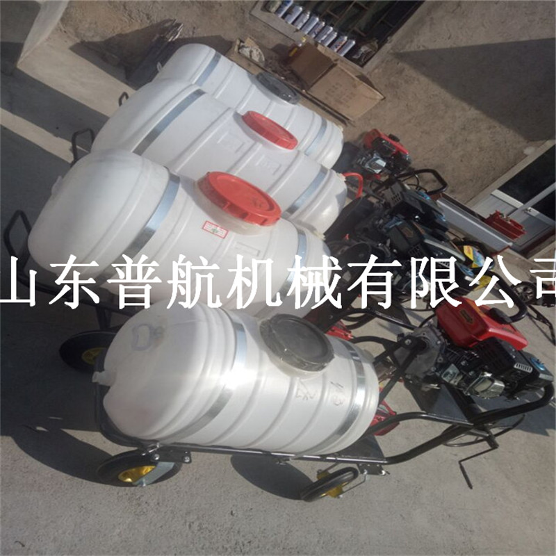 大棚果園手推打藥機(jī)   大容量果園噴霧器   打藥機(jī)型號