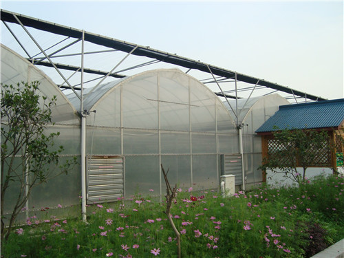 不同結(jié)構(gòu)溫室大棚使用功能不同 山東一道農(nóng)業(yè)科技有限公司