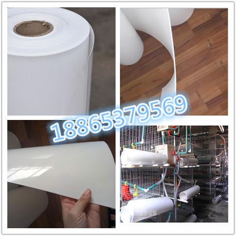 雞糞輸送帶 養(yǎng)殖場全自動清糞帶