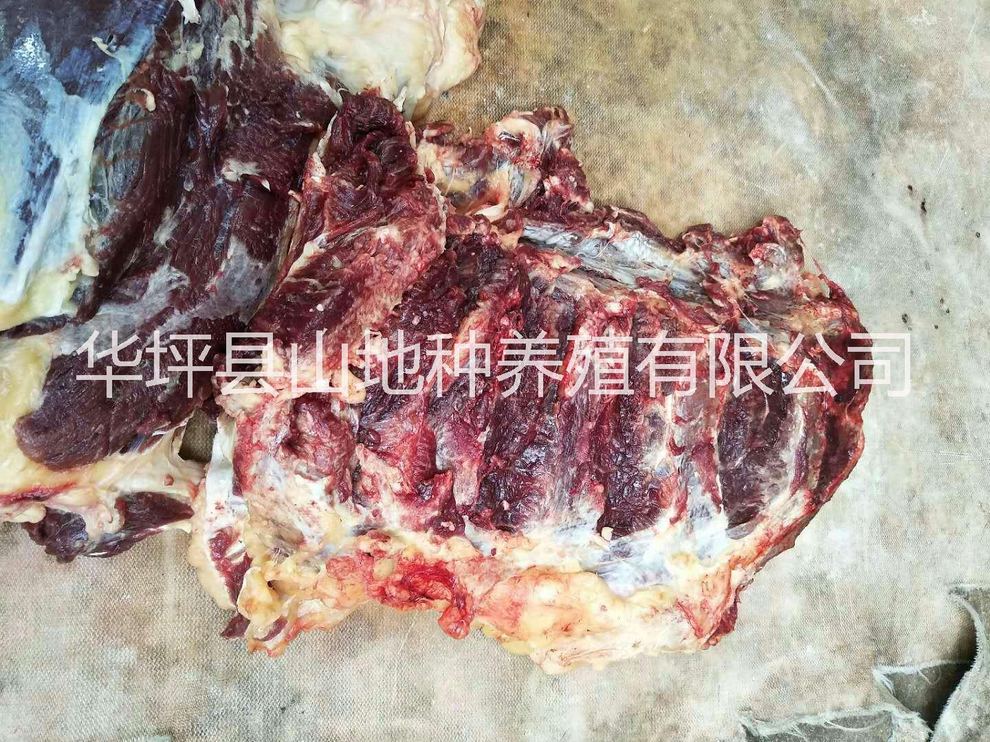 云南生態(tài)小黃牛肉      麗江小黃牛肉供應(yīng)      小黃牛肉批發(fā)價格