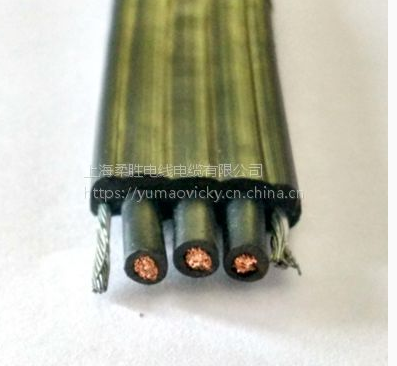 折扁平電纜 影視燈光扁電纜 舞臺燈光用柔性耐折扁平電纜 上海折扁平電纜 上海折扁平電纜供應商