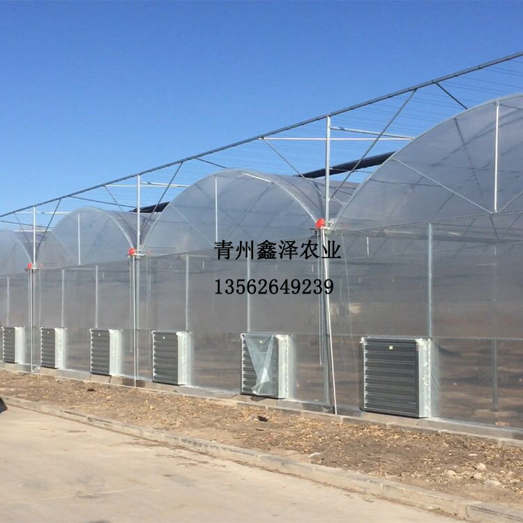溫室大棚冬暖薄膜大棚 觀光陽光板溫室花卉冬暖薄膜溫室大棚工廠出售