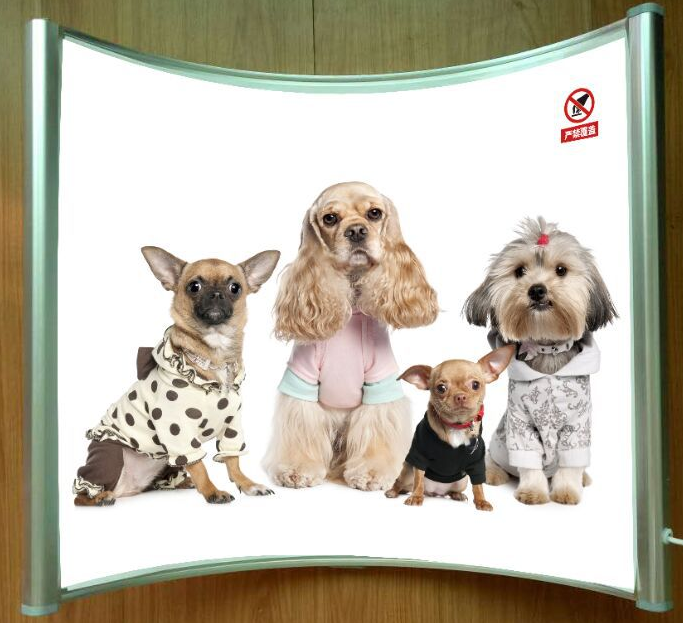 弧形電暖器 弧形暖廠家 弧形辦公取暖器 弧形碳晶取暖器 弧形暖廠家報(bào)價(jià)