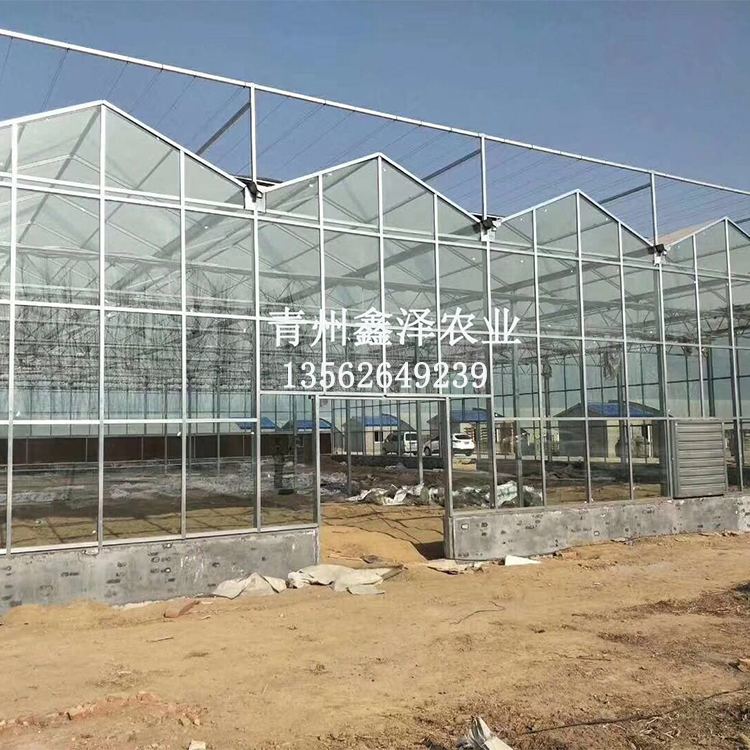 生態(tài)餐廳造價 廠家 生態(tài)餐廳建設(shè) 玻璃溫室工程 玻璃溫室 工程 玻璃大棚建設(shè)