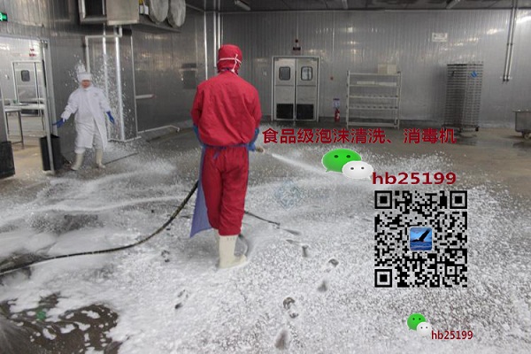 食品廠*泡沫清洗機 清洗設備