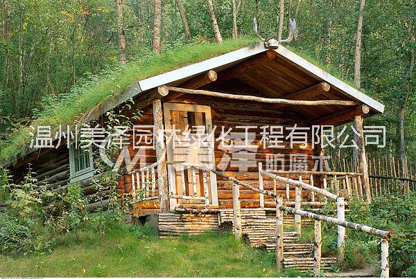 蒼南防腐木 鰲江防腐木文成防腐木 木屋建造移動(dòng)木屋,木質(zhì)別墅,防腐木屋別墅定制