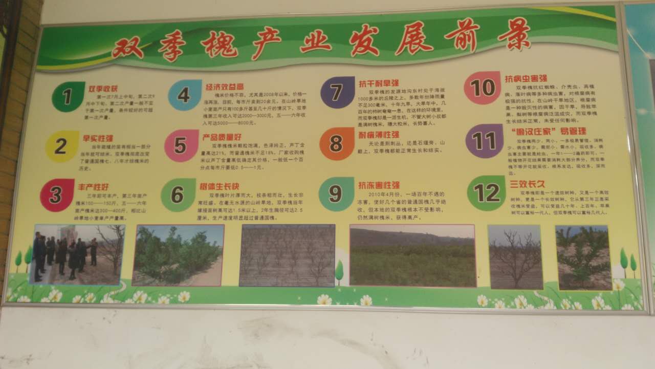 汾西縣槐米茶加工 汾西縣槐米茶批發(fā)價(jià) 汾西縣槐米茶公司 汾西縣槐米茶市場(chǎng)價(jià)