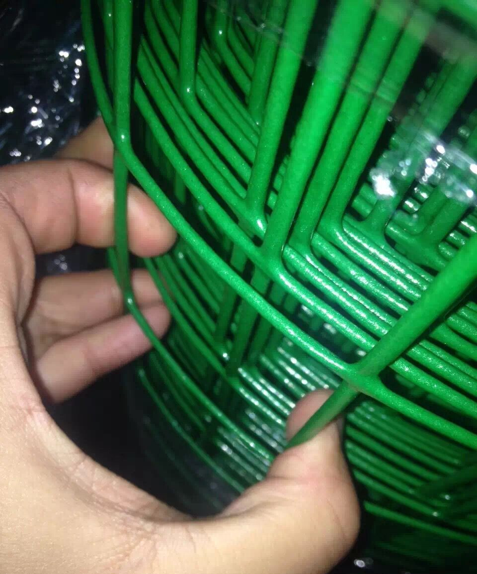 荷蘭網(wǎng)浸塑鐵絲養(yǎng)殖養(yǎng)雞鴨圈林地果園金屬網(wǎng)定做防護(hù)圍欄網(wǎng)質(zhì)量好  荷蘭網(wǎng)鐵絲網(wǎng)