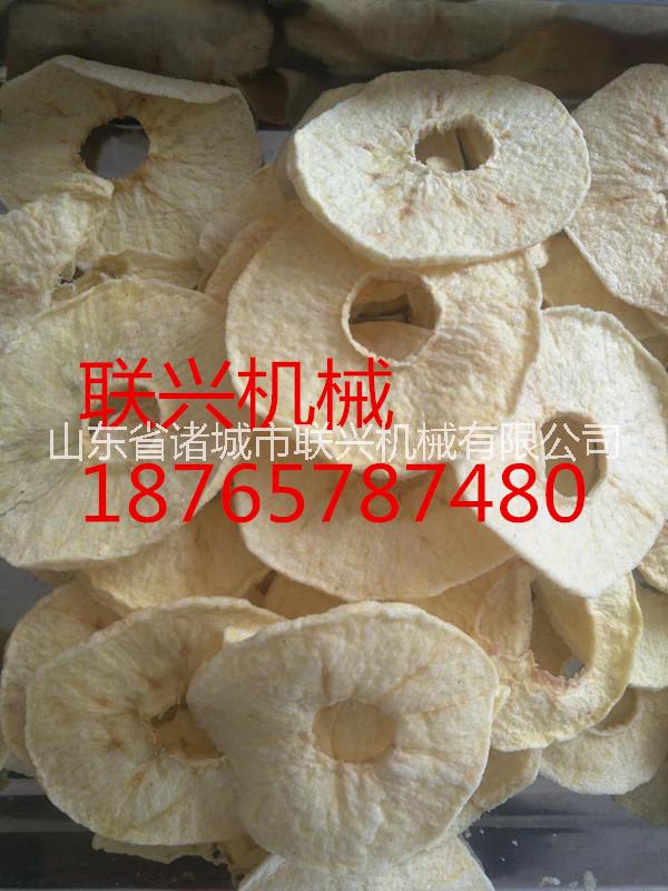 諸城聯(lián)興 果蔬脆片真空油炸機(jī)  ZK-900C