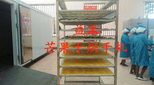 泰國(guó)芒果烘干機(jī) 東南亞芒果烘干機(jī)