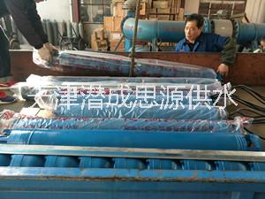 天津熱水潛水電泵型號(hào)/潛成熱水電泵價(jià)格