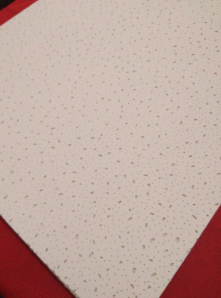 礦棉板 防潮礦棉板 穿孔礦棉板 四川成都穿孔礦棉板 礦棉吸音板