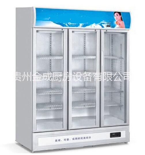 冷柜冷藏 貴州冷柜冷藏價格 貴州冷柜冷藏質量 貴陽冷柜冷藏生產