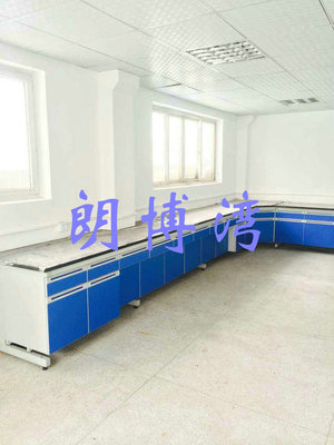 特價供應(yīng)板木試驗臺 中央實驗臺 試驗臺定制