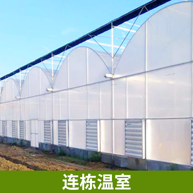 山東溫室大棚廠家 種植大棚 連體大棚 蔬菜大棚 智能蔬菜大棚 智能蔬菜大棚 山東溫室大棚廠家