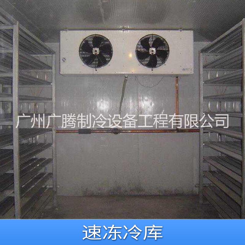 小型速凍庫價(jià)格 速凍冷庫設(shè)計(jì) 速凍冷庫造價(jià) 速凍庫廠家13922179355